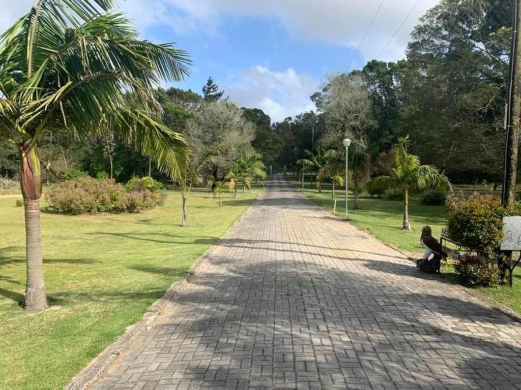 Palm Villa Port Elizabeth Kültér fotó